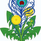peacock dandelion tattoo design