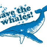 save the whales product design