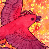 firebird_web