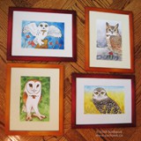 owlsforallseasons