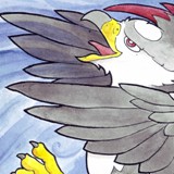 staraptor_web