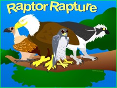 raptor rapture - interactive Flash-based educational website